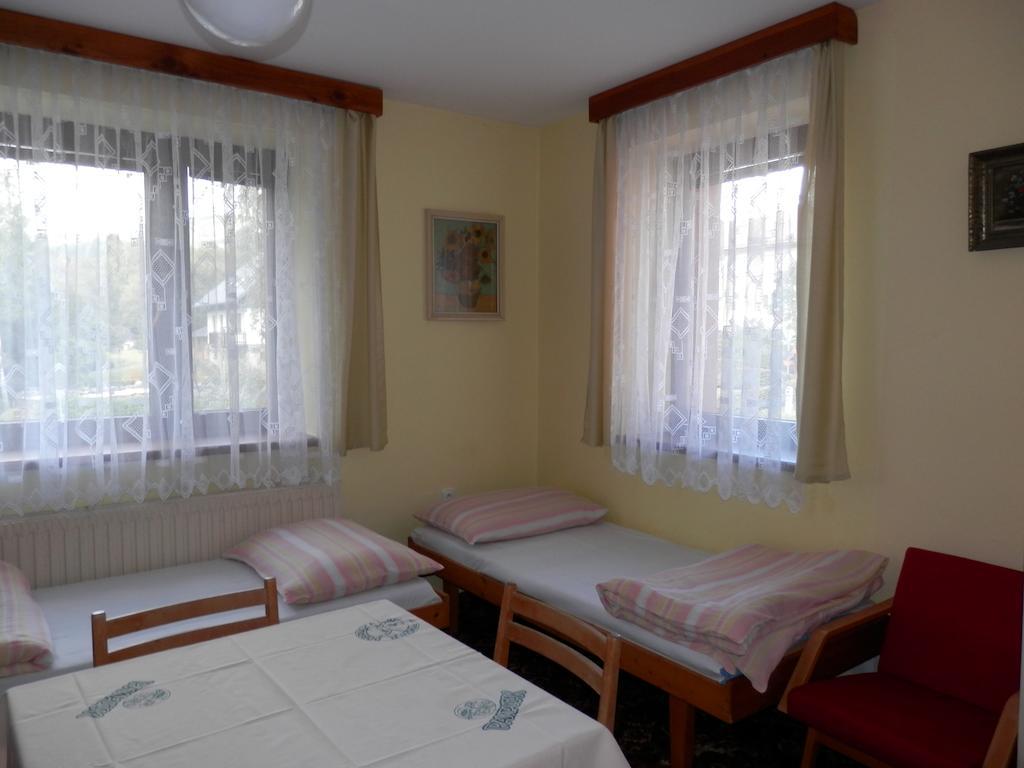 Ubytovani Verner Villa Destne v Orlickych horach Room photo